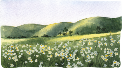 Flowers and Landscape Decor Watercolor