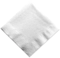 White Cloth Napkin 